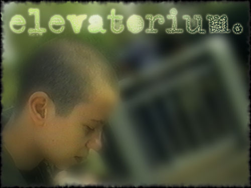 archival elevatorium image (soft focus)